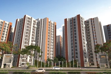 DTC Capital City