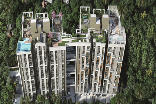 Orbit Tarang